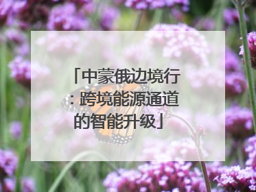 中蒙俄边境行：跨境能源通道的智能升级