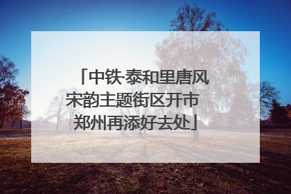 中铁·泰和里唐风宋韵主题街区开市 郑州再添好去处