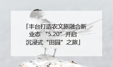 丰台打造农文旅融合新业态 “5.20”开启沉浸式“田园”之旅