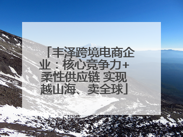 丰泽跨境电商企业：核心竞争力+柔性供应链 实现越山海、卖全球