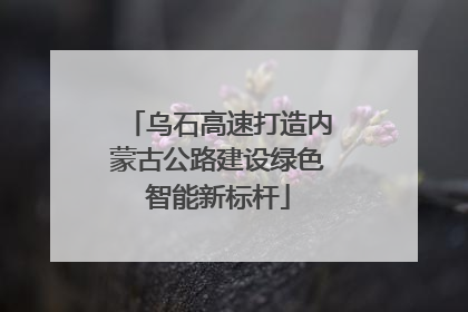 乌石高速打造内蒙古公路建设绿色智能新标杆