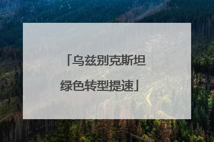 乌兹别克斯坦绿色转型提速