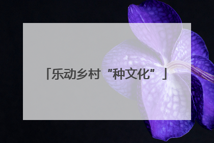 乐动乡村“种文化”
