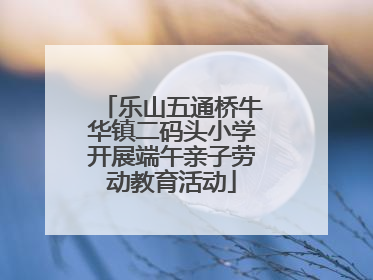 乐山五通桥牛华镇二码头小学开展端午亲子劳动教育活动