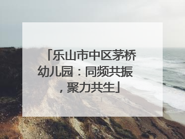 乐山市中区茅桥幼儿园：同频共振，聚力共生