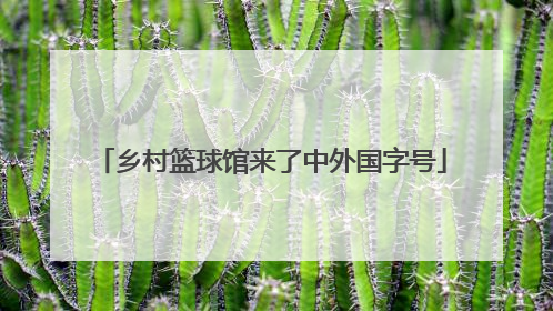乡村篮球馆来了中外国字号