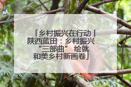 乡村振兴在行动丨陕西蓝田：乡村振兴 “三部曲” 绘就和美乡村新画卷