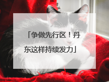 争做先行区！丹东这样持续发力