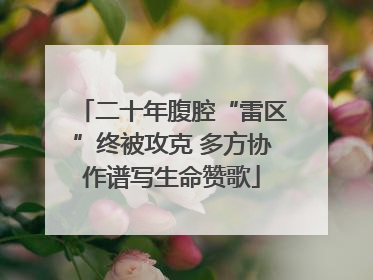 二十年腹腔“雷区”终被攻克 多方协作谱写生命赞歌