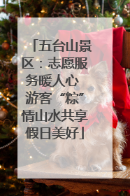 五台山景区：志愿服务暖人心 游客“粽”情山水共享假日美好