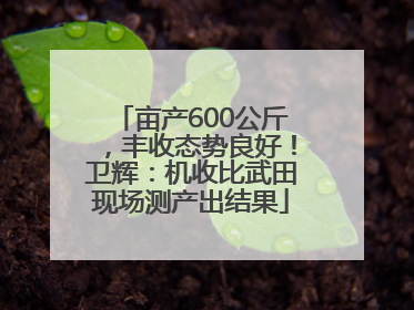 亩产600公斤，丰收态势良好！卫辉：机收比武田现场测产出结果