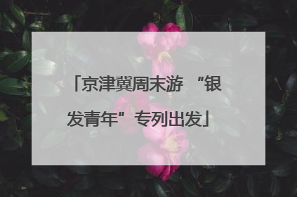 京津冀周末游 “银发青年”专列出发