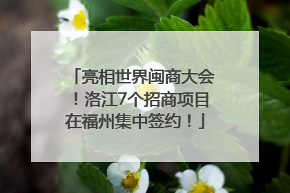 亮相世界闽商大会！洛江7个招商项目在福州集中签约！