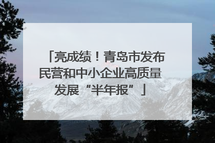 亮成绩！青岛市发布民营和中小企业高质量发展“半年报”