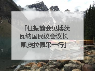 任振鹤会见博茨瓦纳国民议会议长凯奥拉佩采一行