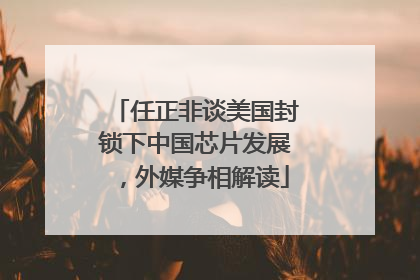 任正非谈美国封锁下中国芯片发展，外媒争相解读