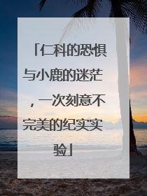 仁科的恐惧与小鹿的迷茫，一次刻意不完美的纪实实验