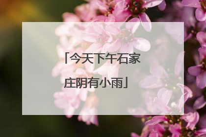 今天下午石家庄阴有小雨