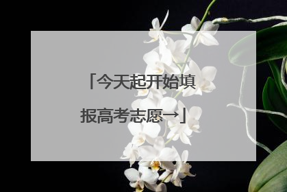 今天起开始填报高考志愿→