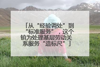 从“经验调处”到“标准服务”，这个镇为处理基层劳动关系服务“造标尺”
