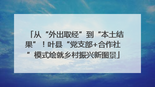 从“外出取经”到“本土结果”！叶县“党支部+合作社”模式绘就乡村振兴新图景