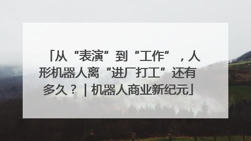 从“表演”到“工作”，人形机器人离“进厂打工”还有多久？｜机器人商业新纪元