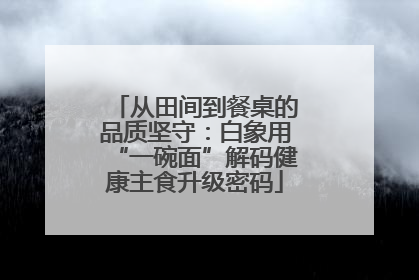 从田间到餐桌的品质坚守：白象用“一碗面”解码健康主食升级密码