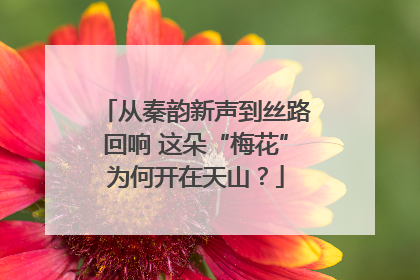 从秦韵新声到丝路回响 这朵“梅花”为何开在天山？
