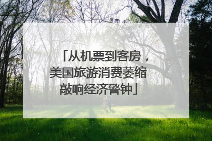 从机票到客房，美国旅游消费萎缩敲响经济警钟
