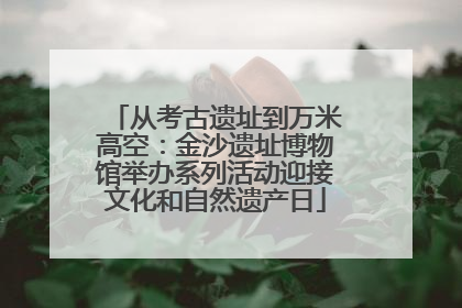 从考古遗址到万米高空：金沙遗址博物馆举办系列活动迎接文化和自然遗产日