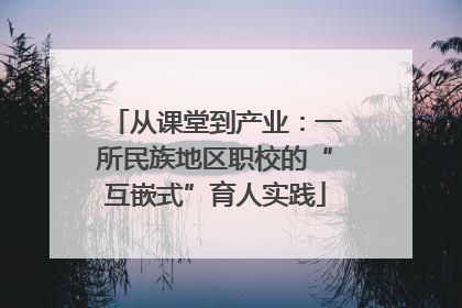 从课堂到产业：一所民族地区职校的“互嵌式”育人实践