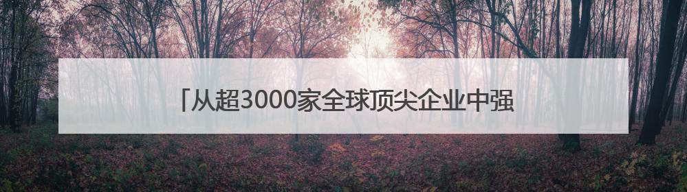 从超3000家全球顶尖企业中强势突围，能环宝蝉联SNEC金奖