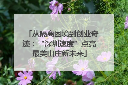 从隔离困境到创业奇迹：“深圳速度”点亮最美山庄新未来