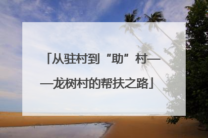 从驻村到“助”村——龙树村的帮扶之路