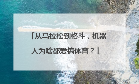 从马拉松到格斗，机器人为啥都爱搞体育？