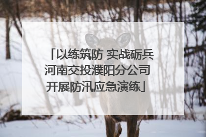 以练筑防 实战砺兵 河南交投濮阳分公司开展防汛应急演练
