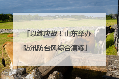 以练应战！山东举办防汛防台风综合演练