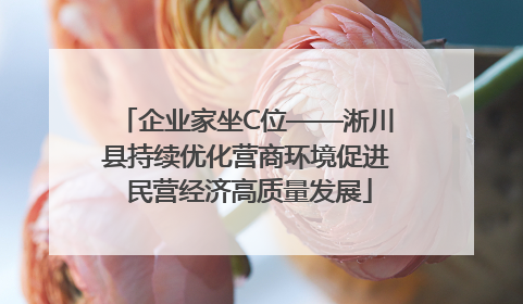 企业家坐C位——淅川县持续优化营商环境促进 民营经济高质量发展