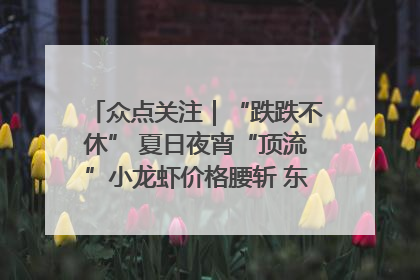 众点关注｜“跌跌不休” 夏日夜宵“顶流”小龙虾价格腰斩 东营人的快乐来了
