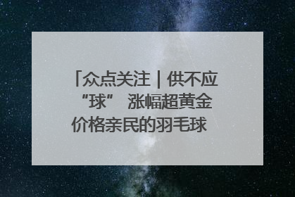众点关注｜供不应“球” 涨幅超黄金 价格亲民的羽毛球为何身价飞涨？
