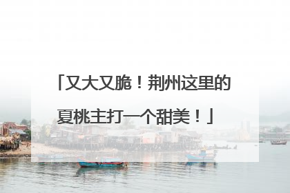 又大又脆！荆州这里的夏桃主打一个甜美！