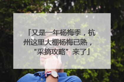 又是一年杨梅季，杭州这里大棚杨梅已熟，“采摘攻略”来了