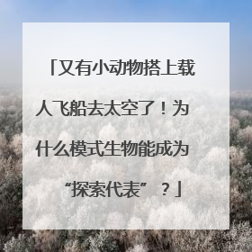 又有小动物搭上载人飞船去太空了！为什么模式生物能成为“探索代表”？