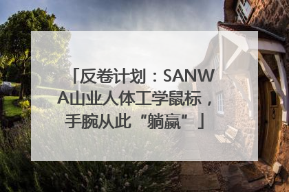 反卷计划：SANWA山业人体工学鼠标，手腕从此“躺赢”