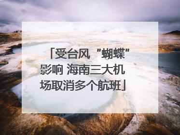 受台风“蝴蝶”影响 海南三大机场取消多个航班