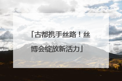 古都携手丝路！丝博会绽放新活力