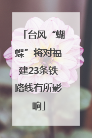 台风“蝴蝶”将对福建23条铁路线有所影响
