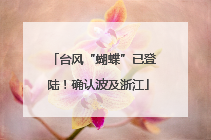 台风“蝴蝶”已登陆！确认波及浙江