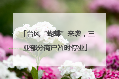 台风“蝴蝶”来袭，三亚部分商户暂时停业