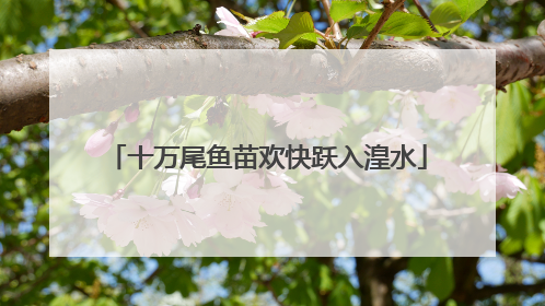 十万尾鱼苗欢快跃入湟水